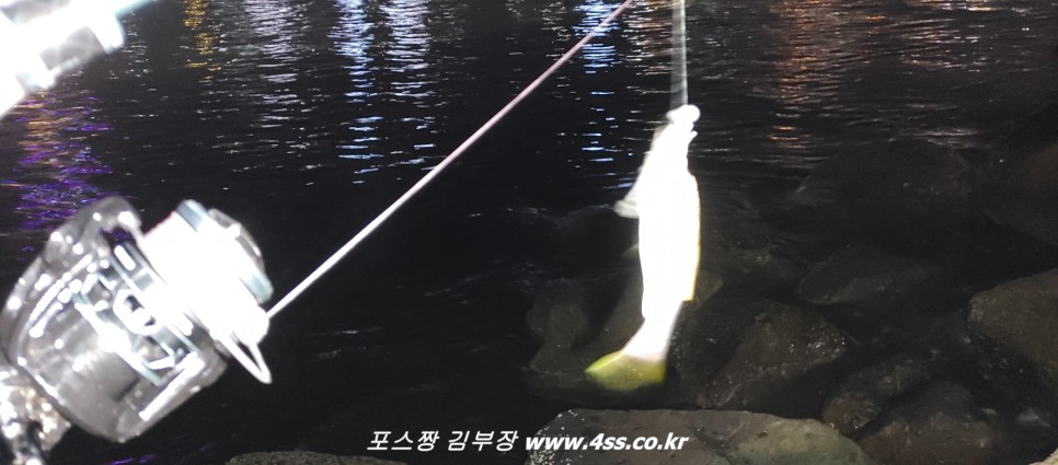 부산 기수역 수영강 낚시 포인트 농어루어 아징 전갱이 던질찌 루어 채비