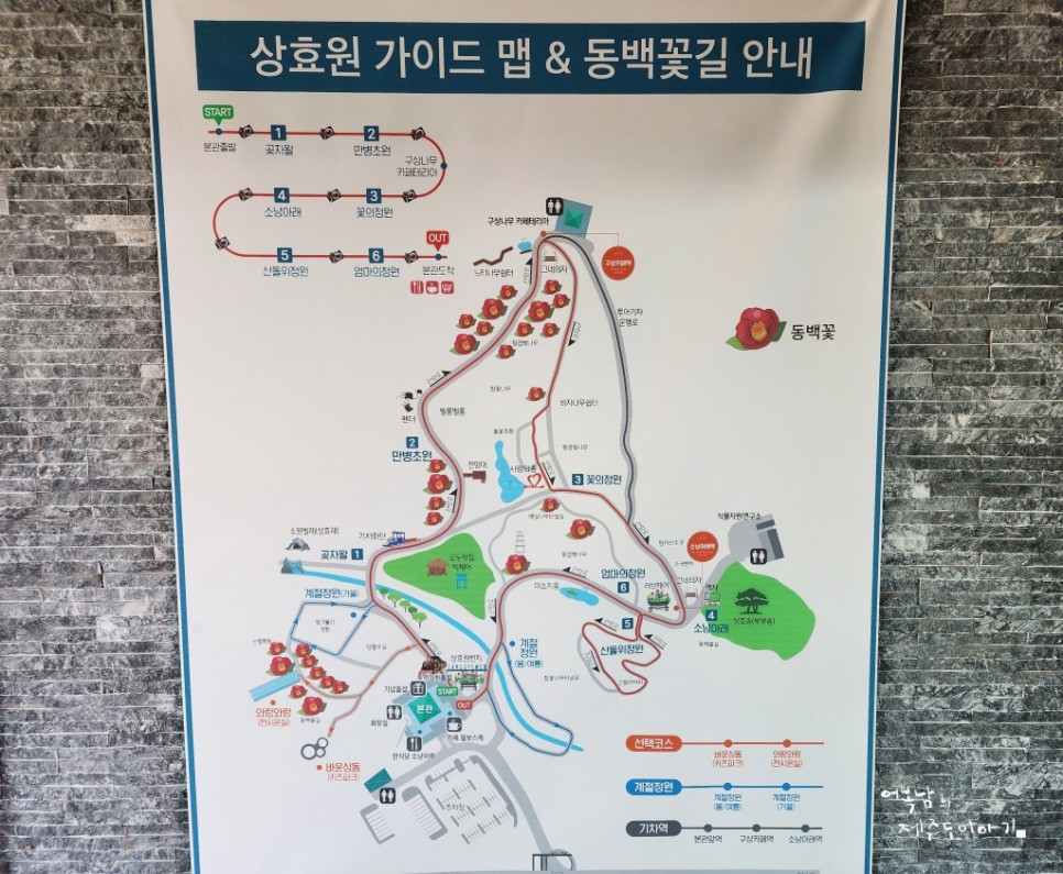 제주 상효원 수목원 겨울 동백 1월 제주도 여행 관광지 추천