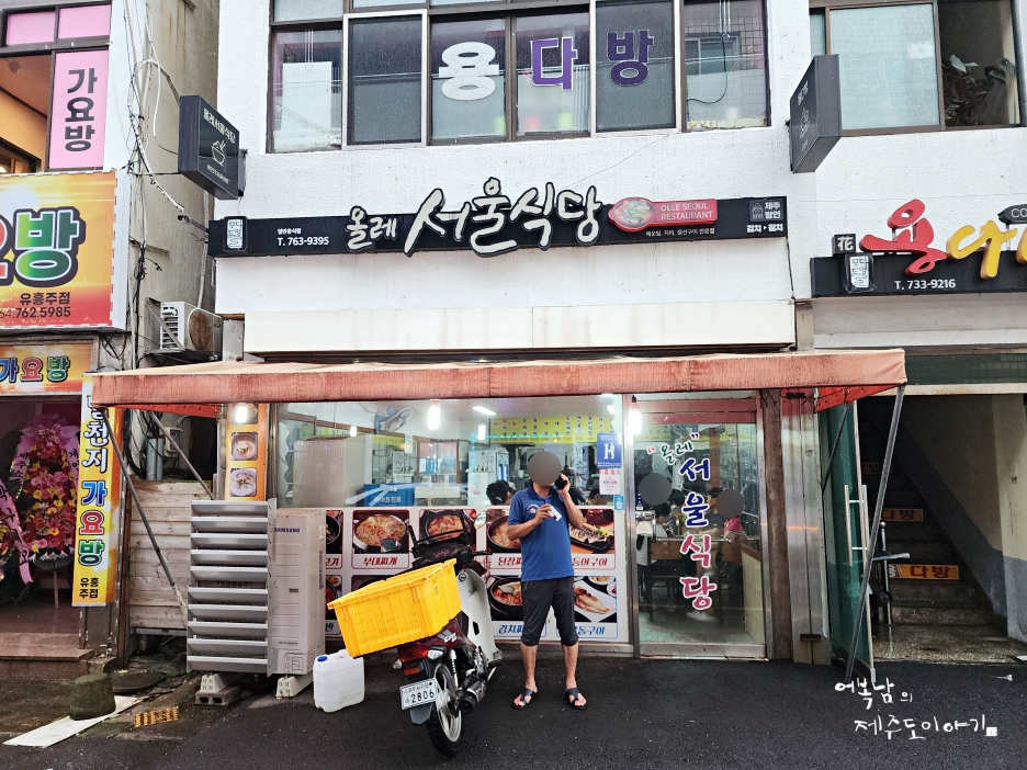 제주 서귀포 매일 올레시장 기흥어물 활 무늬오징어 회 가격 맛 후기