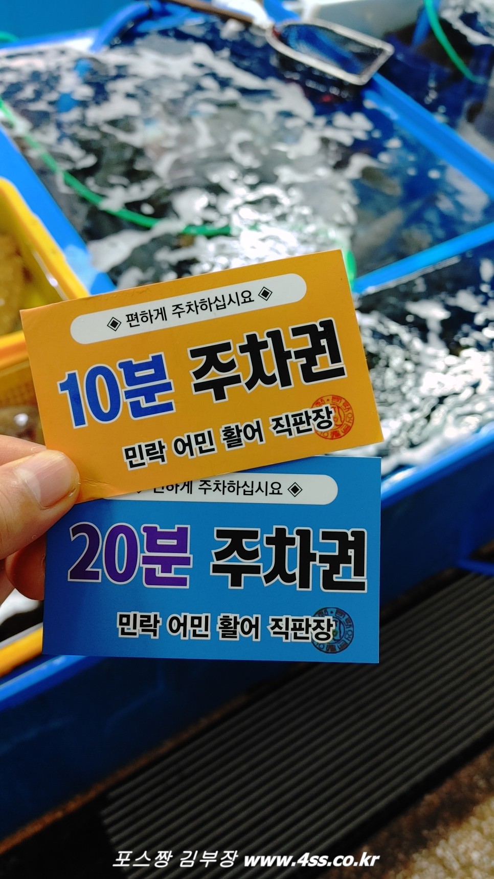민락어민활어직판장 찐단골 조은상회 광안리회썰어주는곳 추천