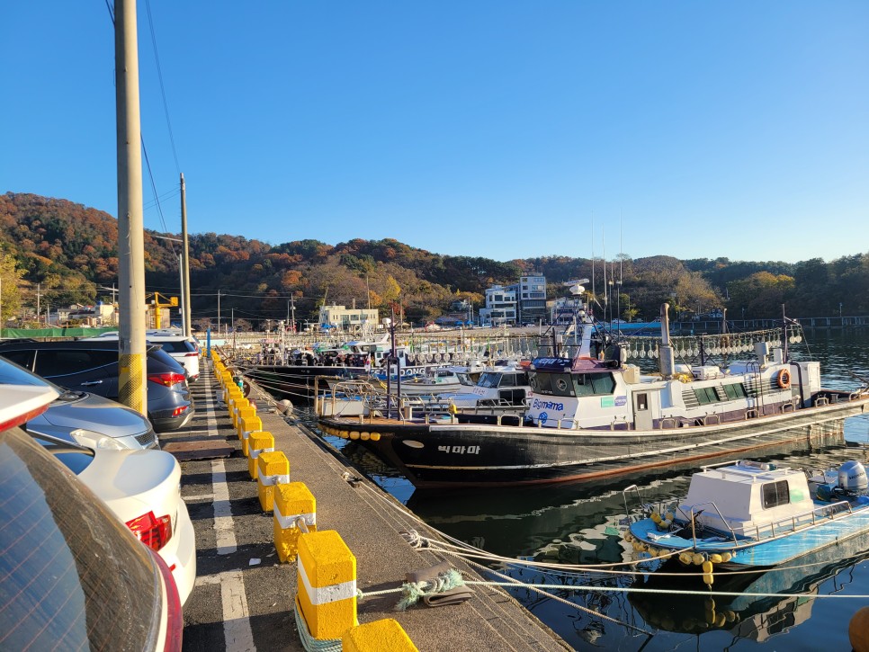 23.11.24 - 야간 문어 낙지 선상낚시 출조... 그리고 갈치 선상 졸업까지... 참으로 바쁜 주말이네요.