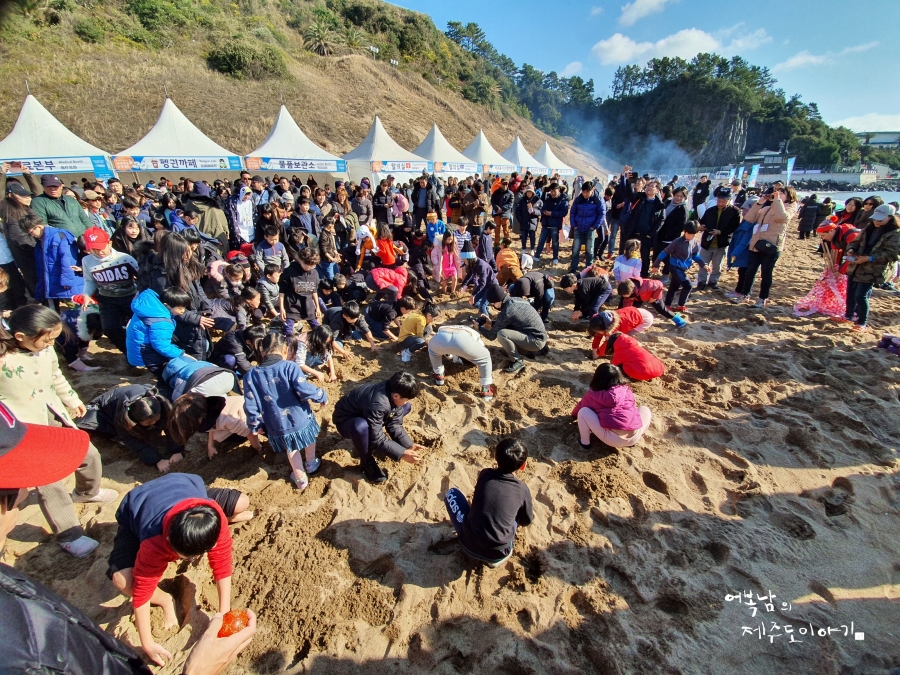 제25회 서귀포 겨울바다 국제 펭귄수영대회 제주도 새해 행사 중문색달해수욕장