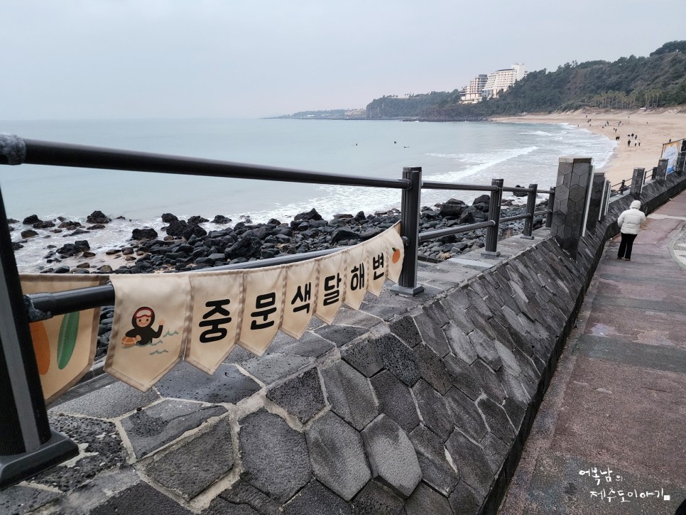 2024년 서귀포 겨울바다 국제펭귄수영대회 새해 첫날 제주 중문색달해수욕장 후기