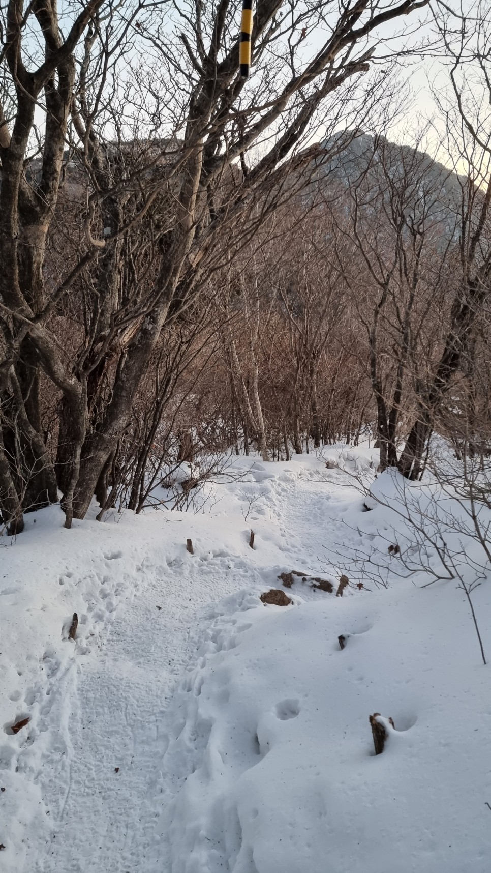 지리산 등산, 겨울 설산 산행 (백무동 ~ 중산리)