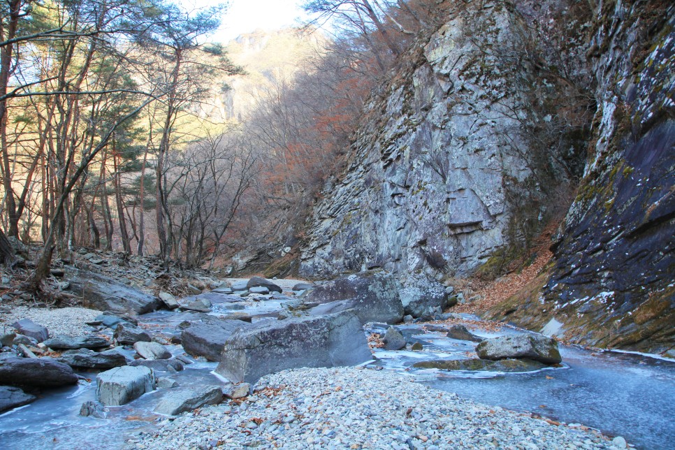 [주왕산국립공원] 겨울에 산책하기 좋은 곳  주왕산 자연관찰로 코스