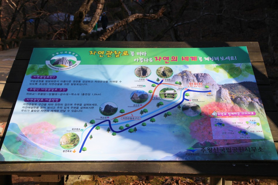 [주왕산국립공원] 겨울에 산책하기 좋은 곳  주왕산 자연관찰로 코스