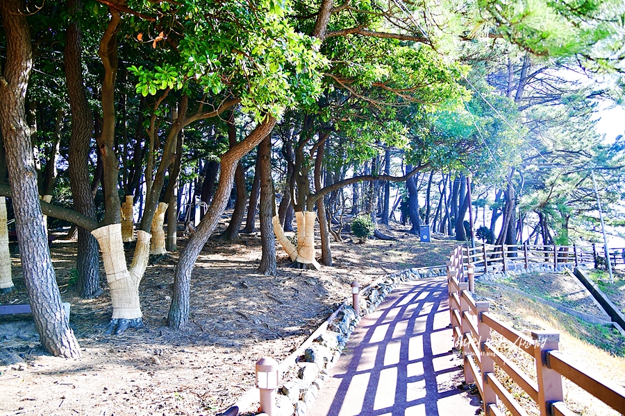 부산 가볼만한곳 송정 해수욕장 죽도공원 국립수산과학관 기장오랑대공원 부산 여행