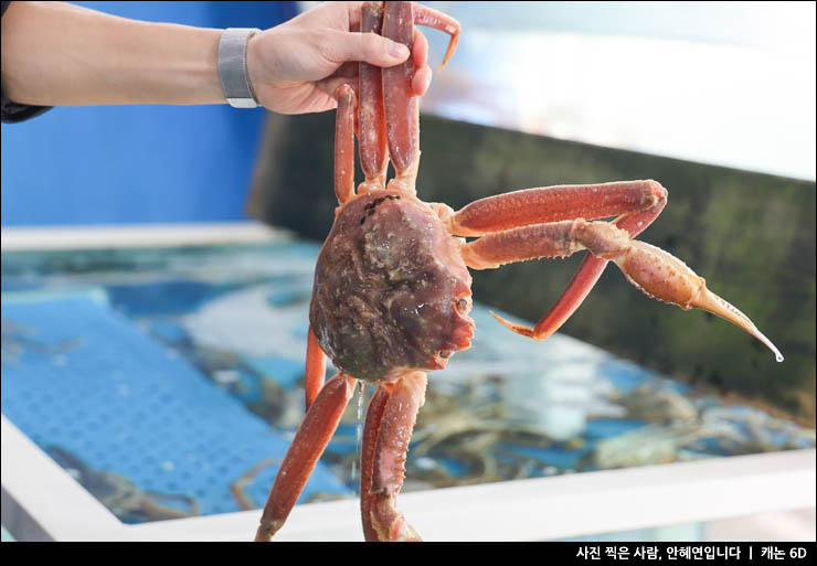 강원도 속초 가볼만한곳 속초 관광지 해변 볼거리