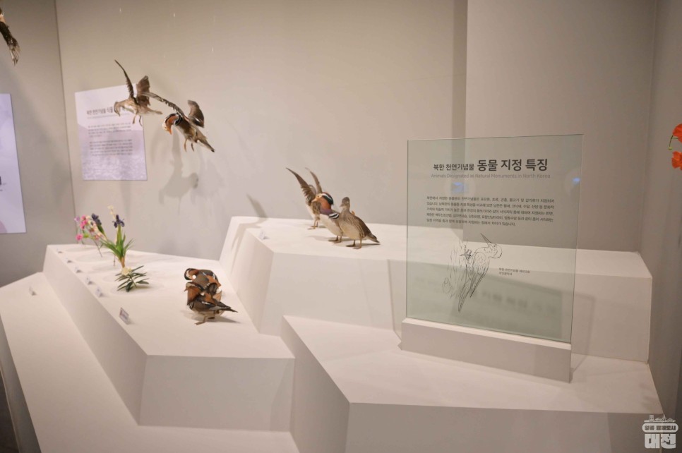대전에서 아이들과 함께 실내 가볼 만한 곳 추천_천연기념물센터, 곤충생태관, 열대식물원