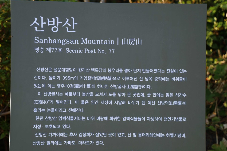 제주도 서귀포 여행 제주용머리해안 산방산 보문사 산방굴사 사계해안 제주형제섬  코스