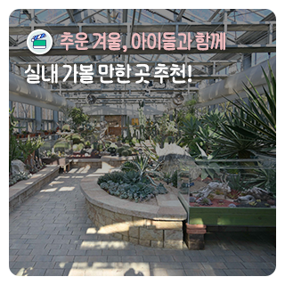 대전에서 아이들과 함께 실내 가볼 만한 곳 추천_천연기념물센터, 곤충생태관, 열대식물원