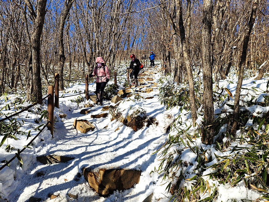 [태백산국립공원] 어렵지 않은 겨울 산행 코스 만항재-함백산 정상