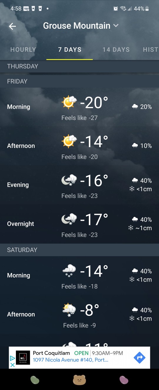 이상기온 캐나다 밴쿠버 날씨 동네 호수에서 하키하고 난리남_Vancouer 일상