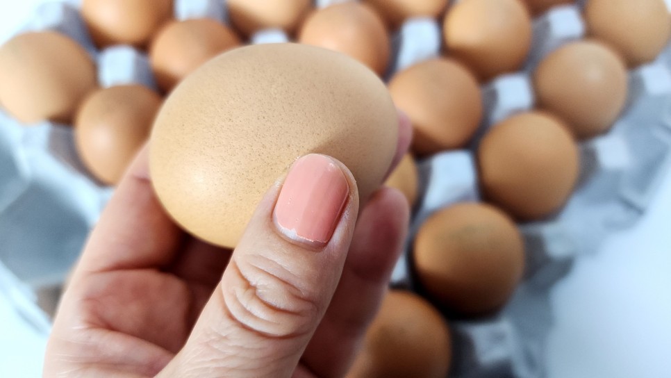 아침밥상 부드러운 전자레인지 계란찜 요리 물비율 전자렌지 계란찜 만드는법