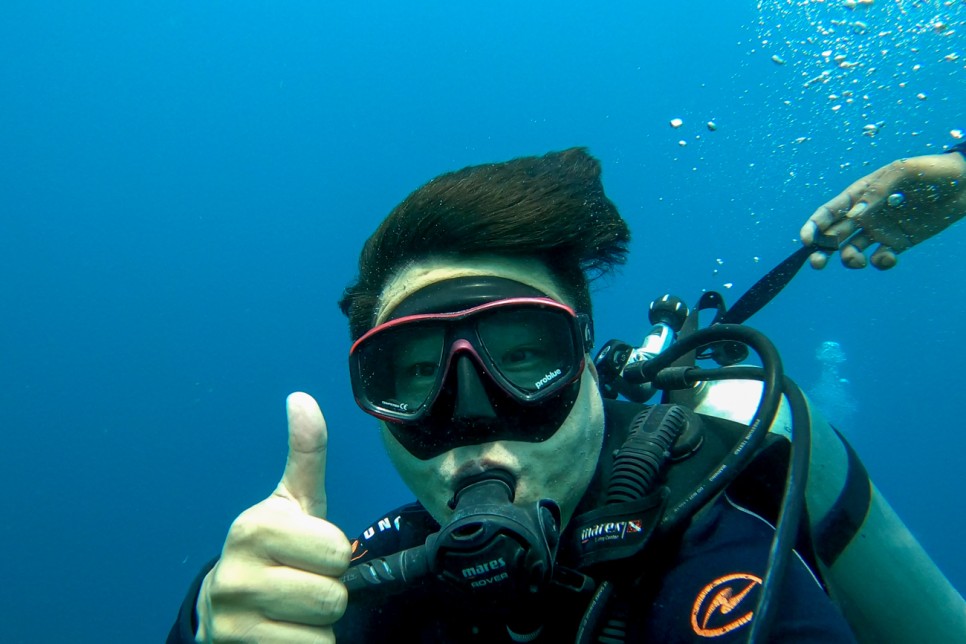 필리핀 보홀 다이빙 투어 체험 자유여행 만끽