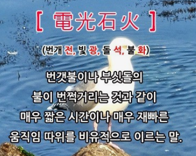 과천애문화, 오늘의 사자성어,  전광석화 [電光石火]