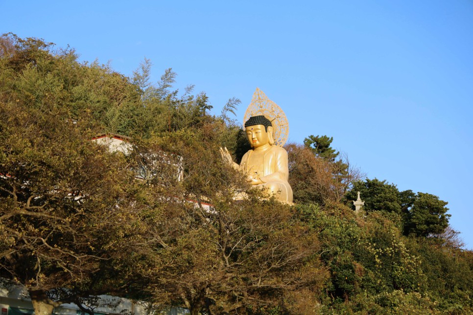 제주도 서귀포 여행 제주용머리해안 산방산 보문사 산방굴사 사계해안 제주형제섬  코스