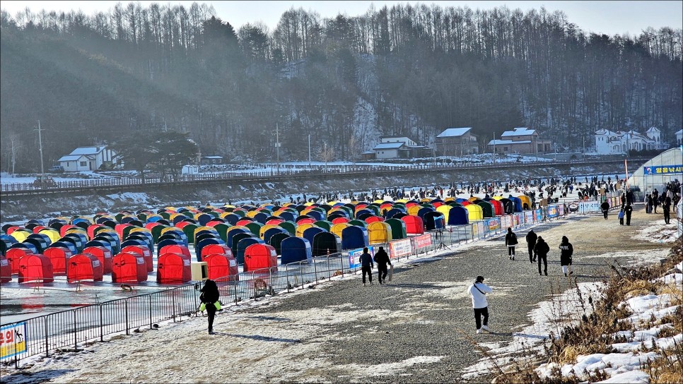 강원도 겨울 축제 추천 강원도 평창 가볼만한곳 겨울 놀거리 평창송어축제!