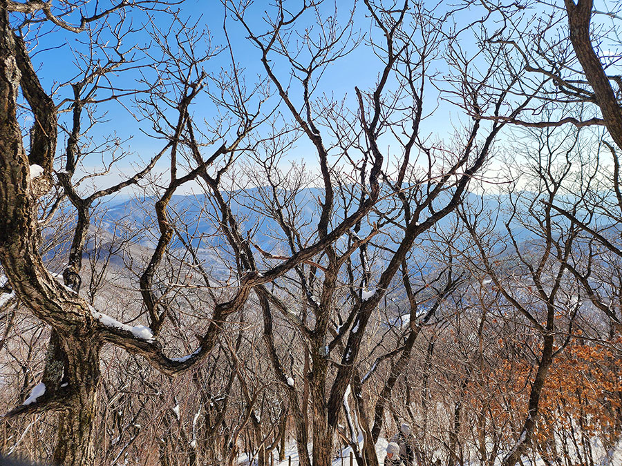 [태백산국립공원] 어렵지 않은 겨울 산행 코스 만항재-함백산 정상