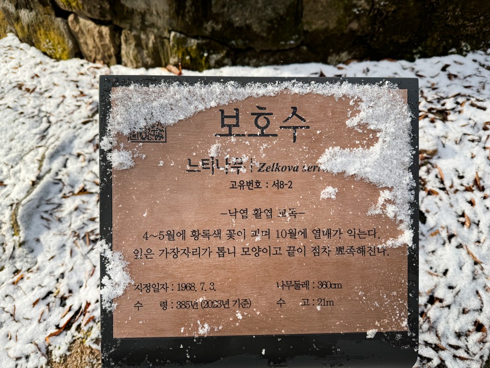 조선왕릉 <정릉> 태조의 두 번째 비, 신덕왕후의 묘