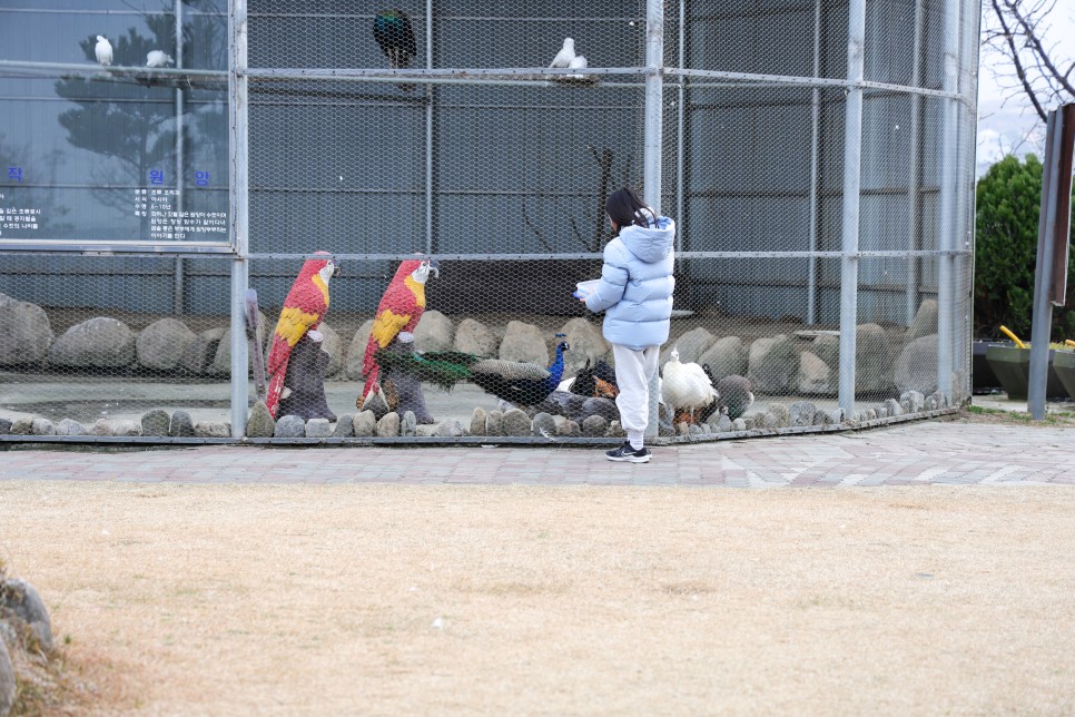 강릉 가볼만한곳 강릉 먹거리 볼거리 당일치기 여행코스