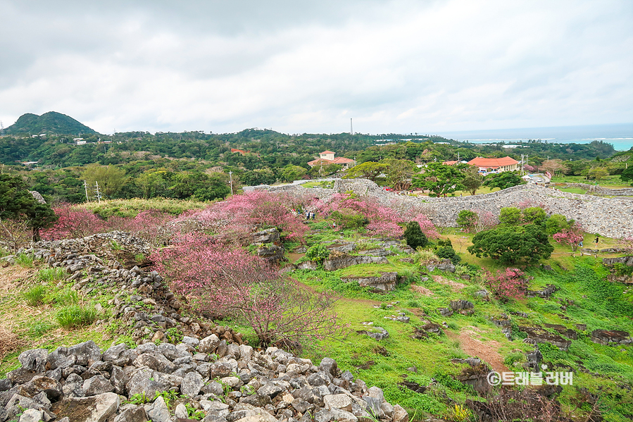 오키나와 여행 렌트카 코스 1월 2월 오키나와 날씨 일본 벚꽃 여행