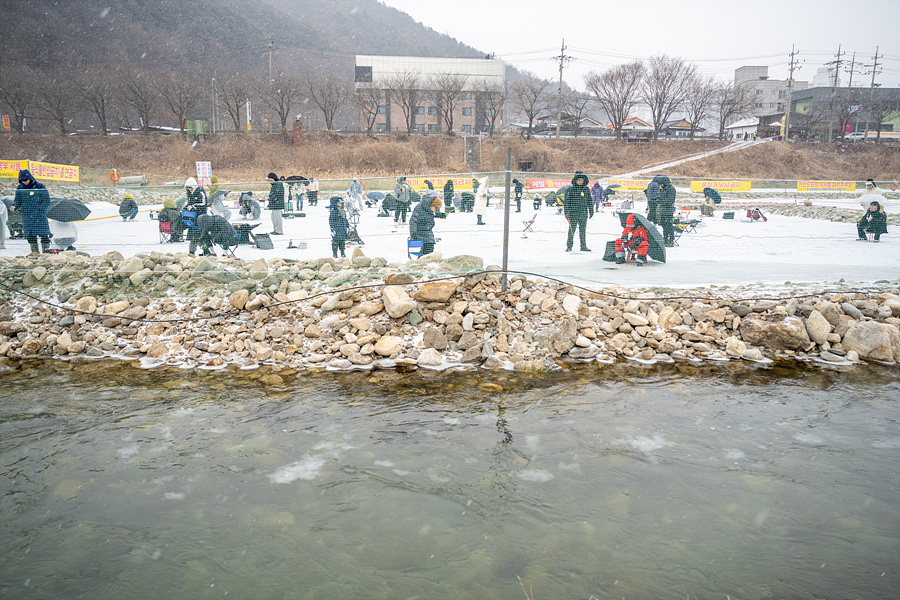 청평 송어축제 빙어 낚시 얼음낚시 축제