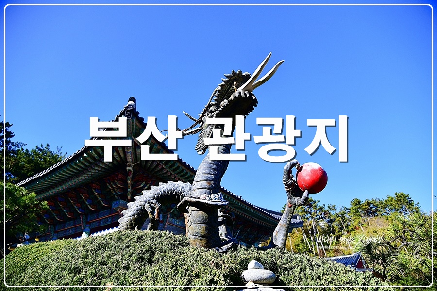 부산 관광지 용궁사 구덕포 송정카페 청사포 다릿돌전망대 죽성성당