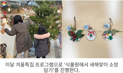 [서울시 정보, 내 손안에 서울] 겨울엔 온실 속으로! 서울대공원 식물원 특집프로그램