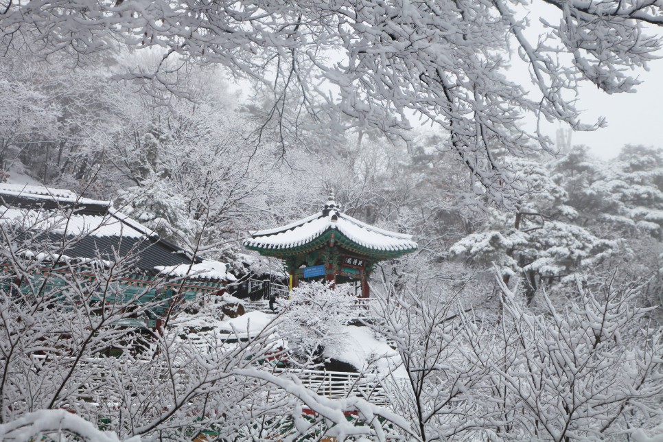 [북한산국립공원] 북한산국립공원 도봉산지구 망월사 설경