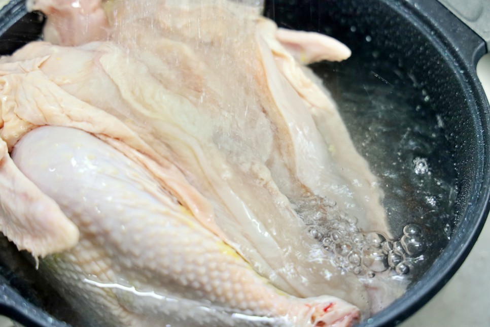 닭개장 만드는법 토종 닭요리 보양식 닭계장 끓이는법