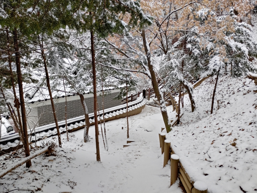 [고석정(孤石亭)] 겨울 눈오는 날에 찾은 한탄강 정자와 바위엔 말없이 눈만 쌓여 있네