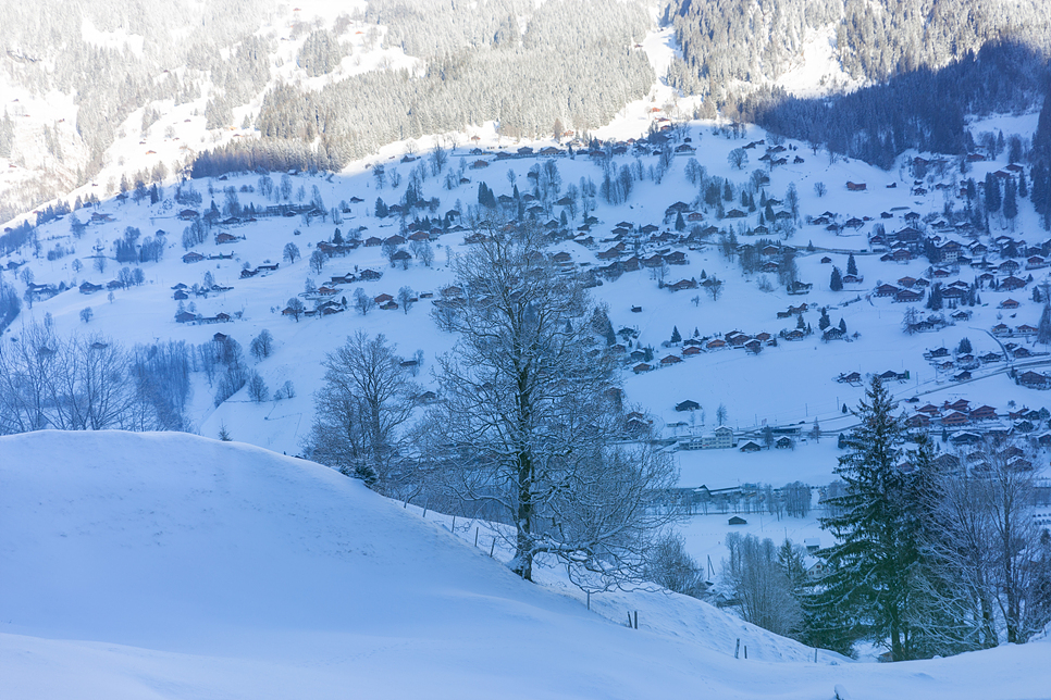 겨울 유럽 항공권 스위스 여행 코스 일정 꿀팁 옷 준비 프랑스 환율 환전 경비
