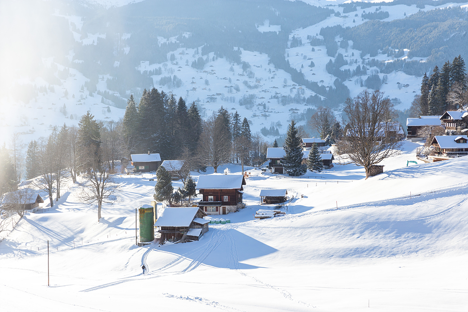 겨울 유럽 항공권 스위스 여행 코스 일정 꿀팁 옷 준비 프랑스 환율 환전 경비
