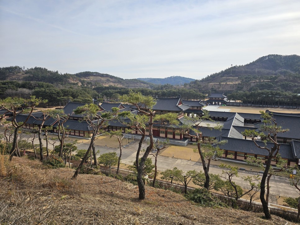 충남 가볼만한곳 부여 백제문화단지 주말여행 추천