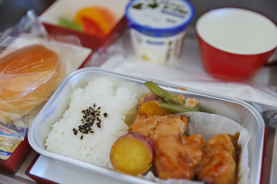 일본 도쿄 비행기 김포-하네다 아시아나 기내식과 수화물, 면세점 추천템들