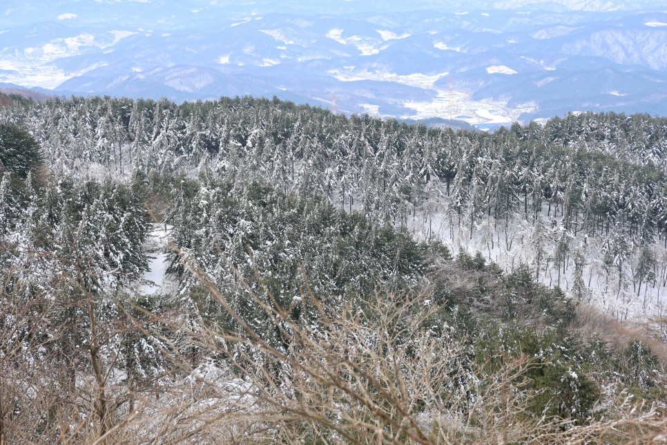 평창 차박 후 태기산 전망대 등산코스 트레킹 횡성 가볼만한곳 눈꽃 풍경