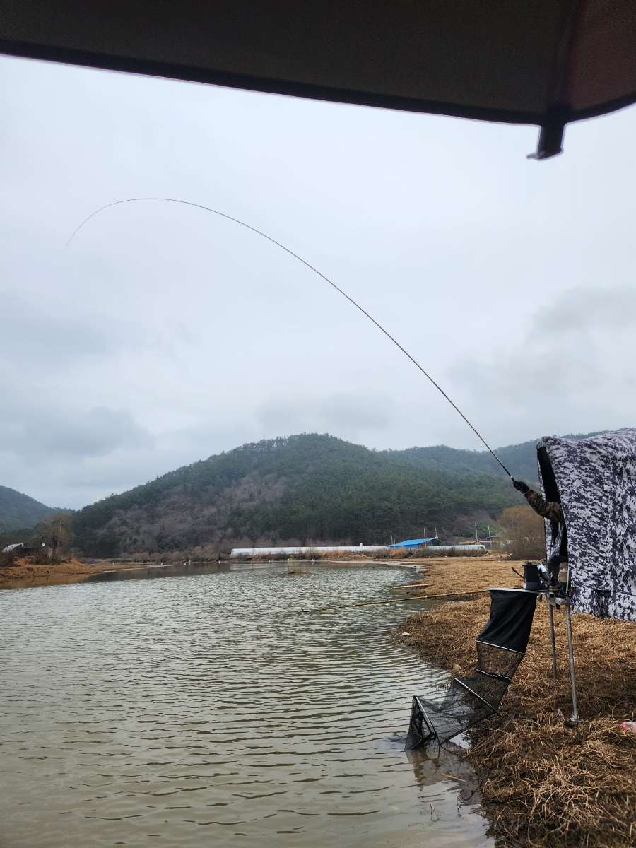 전북 떡붕어낚시 조행