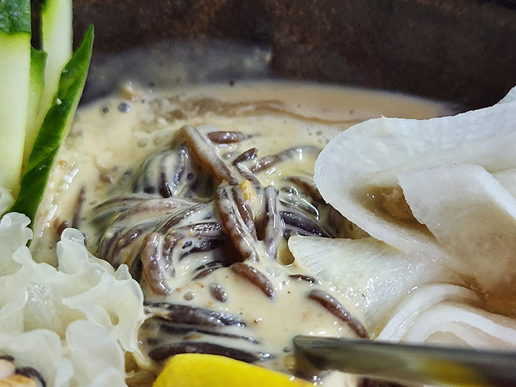 제주도민 맛집 제주 서귀포 아침식사 식당 오가네서 저녁 모임