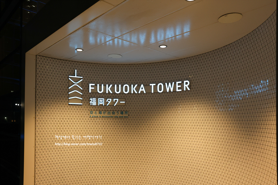 일본 후쿠오카 여행 야경 명소 후쿠오카 타워 전망대