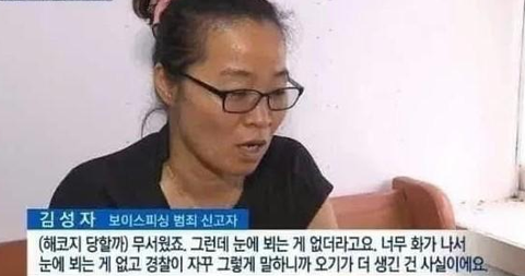 영화 시민덕희 화성 보이스피싱 총책 검거한 세탁소 주인 김성자 실화 현실 결말은 씁쓸 평점 손익분기점 정보