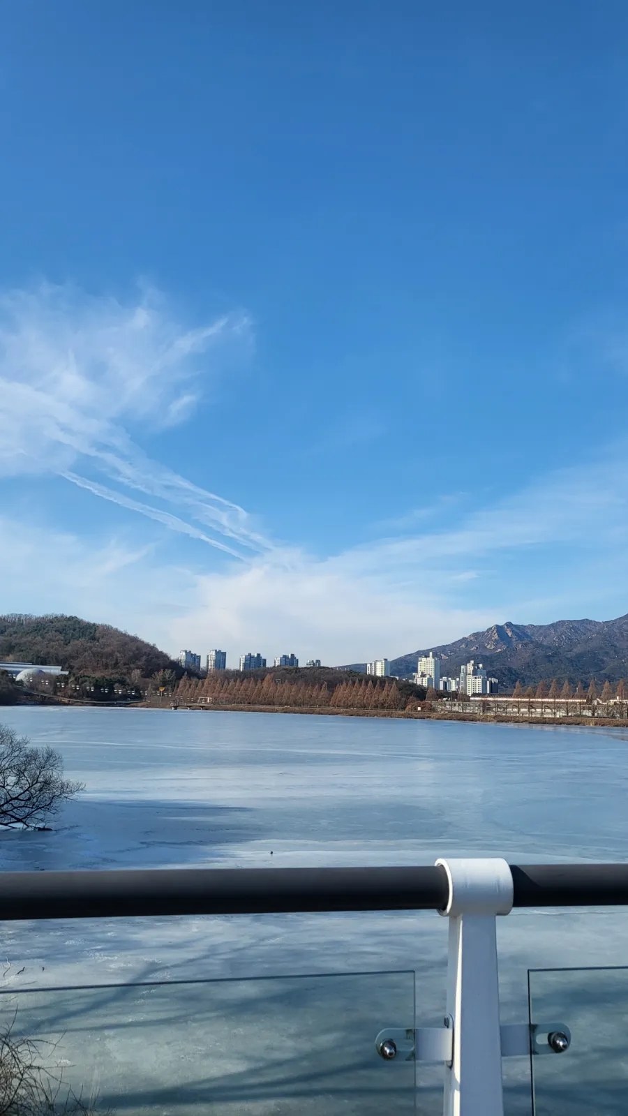 야외활동, 겨울 새가 모이는 곳 과 과천 서울대공원 가기