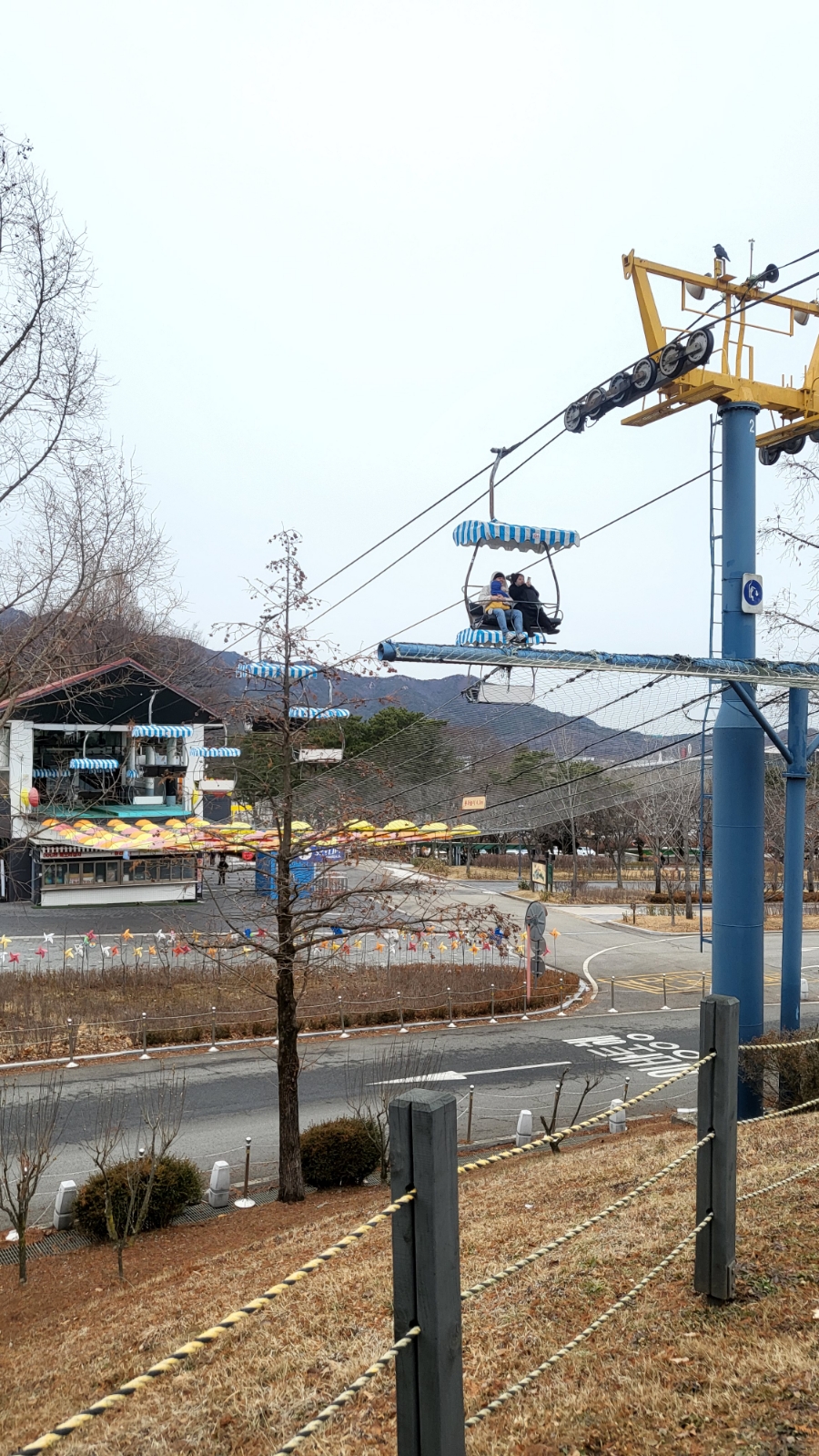 야외활동, 겨울 새가 모이는 곳 과 과천 서울대공원 가기