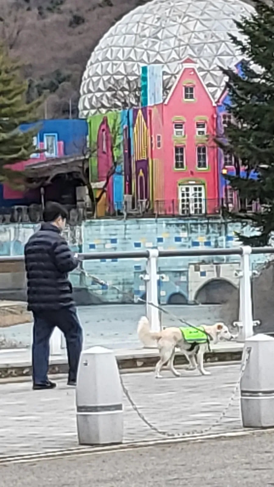 야외활동, 겨울 새가 모이는 곳 과 과천 서울대공원 가기