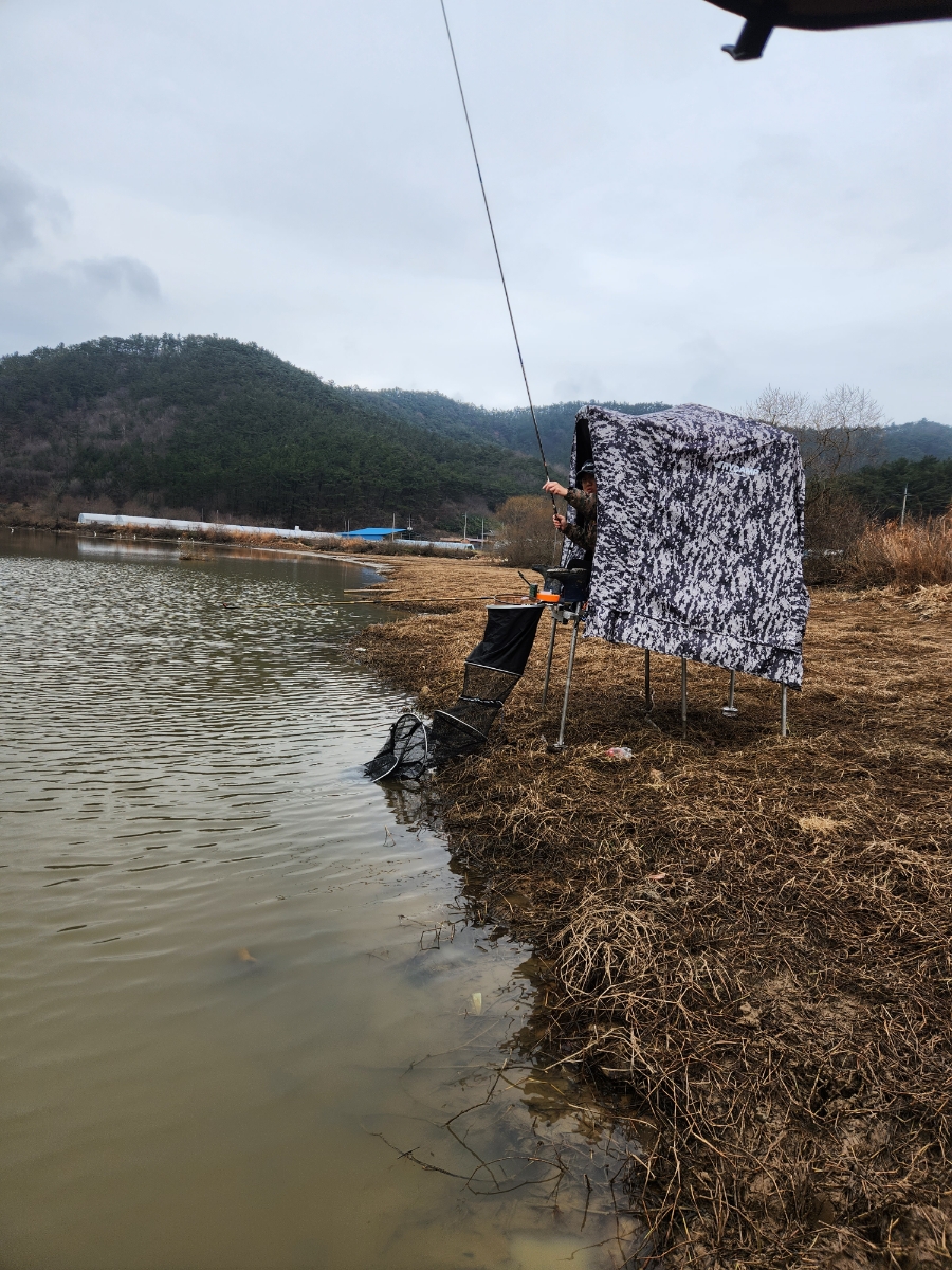 전북 떡붕어낚시 조행