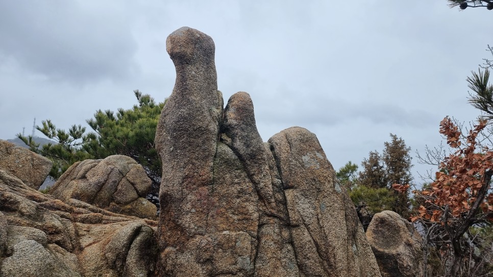 관악산 등산, 신년 설중 산행 (사당역 ~ 관악산역)