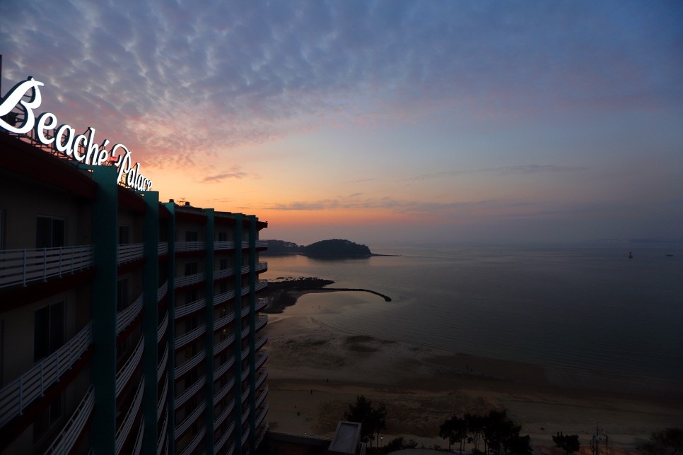 안면도 백사장항 대하 대하구이, 딴뚝통나무집식당 간장게장 게국지, 보령 우유창고, 무창포 비체팰리스