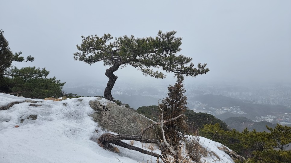 관악산 등산, 신년 설중 산행 (사당역 ~ 관악산역)