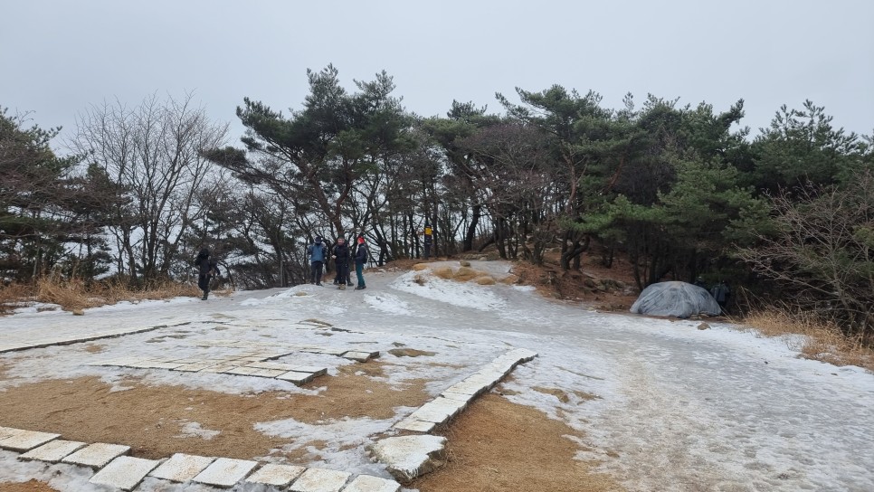 관악산 등산, 신년 설중 산행 (사당역 ~ 관악산역)