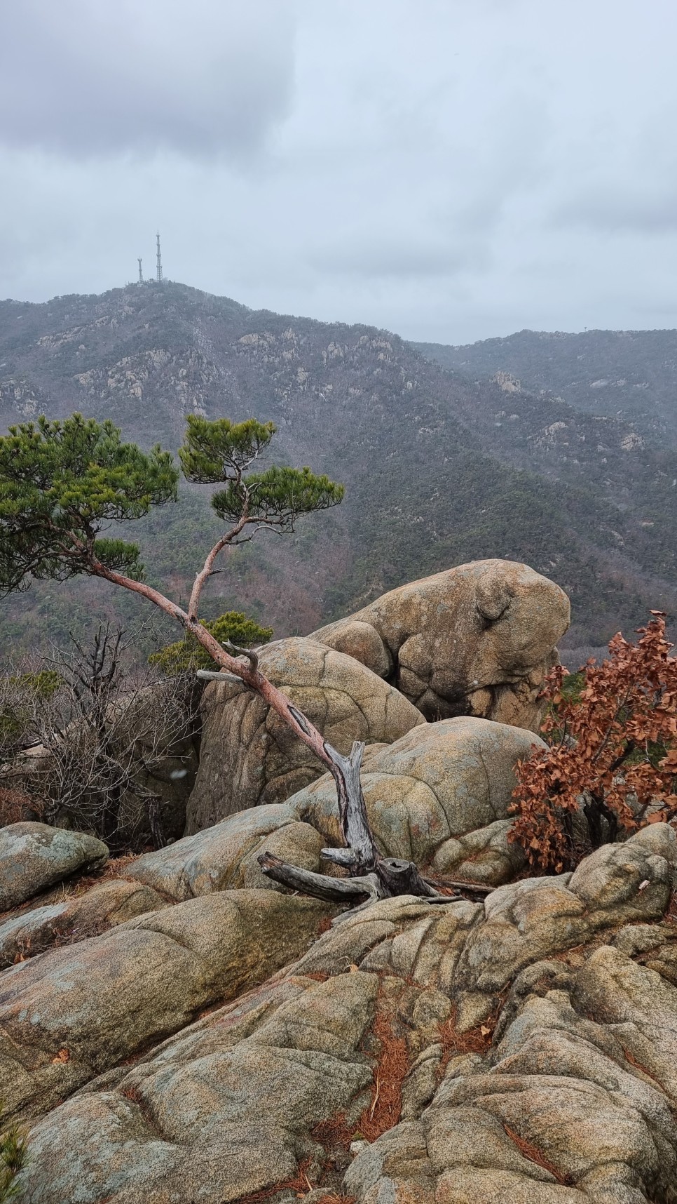 관악산 등산, 신년 설중 산행 (사당역 ~ 관악산역)